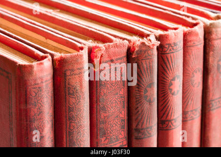 Detail der alten Bücher auf einem Regal Stockfoto