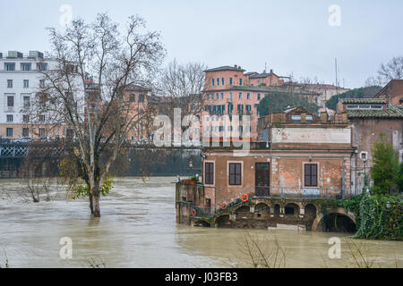 Tiber Essen in der Nähe von Tiberinsel, Rom Stockfoto