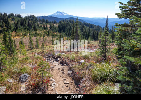 Blick nach Süden entlang dem Pacific Crest Trail in Richtung Mt Adams in der Nähe der Kreuzung mit der Snowgrass Trail, WA, USA Stockfoto