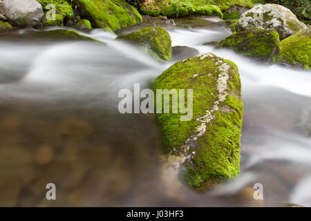 Roaring Forks Motor Trail Stockfoto