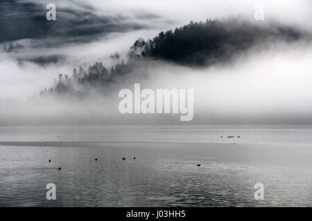 Ein bewaldeter Berghang ist im Morgennebel am Flussufer nahe der Stadt von Harrison Mühlen, Britisch-Kolumbien, Kanada Harrison verdeckt. Stockfoto