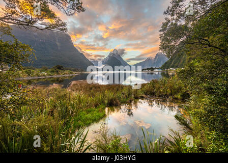 Mitre Peak, Sonnenuntergang, Milford Sound, Fiordland-Nationalpark, Te Anau, Region Southland, Southland, Neuseeland, Ozeanien Stockfoto