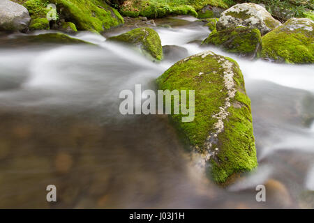 Roaring Forks Motor Trail Stockfoto