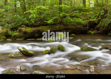 Roaring Forks Motor Trail Stockfoto