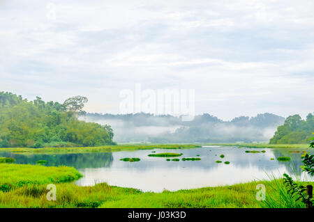 Blick auf Krokodil-See im Dschungel von Cat Tien Nationalpark in Vietnam Stockfoto