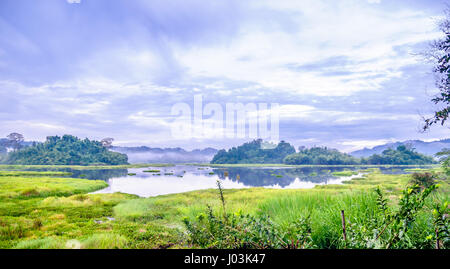 Blick auf Krokodil-See im Cat-Tien-Nationalpark in Vietnam Stockfoto