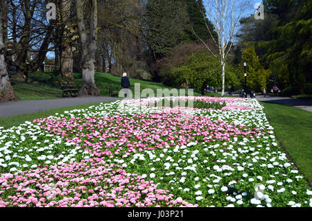 Blonde Frau, die in Valley Gardens Harrogate, Yorkshire.UK. Stockfoto