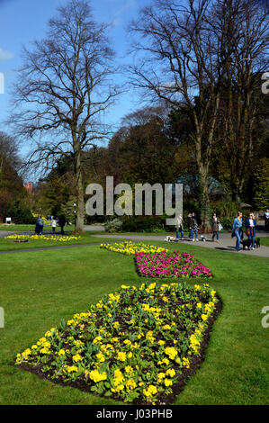 Junge Familie ist Fuß durch Valley Gardens in der Kurstadt Harrogate, Yorkshire.UK. Stockfoto