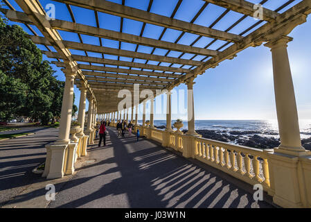 Pergola neben Brasilien Avenue in Nevogilde Zivilstadt Pfarrei von Porto, die zweitgrößte Stadt in Portugal Stockfoto