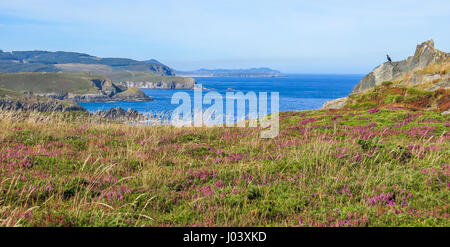 Malerische Aussicht auf die Klippen in der Nähe von San Xiao, kleines Dorf im nördlichen Galicien, Spanien Stockfoto