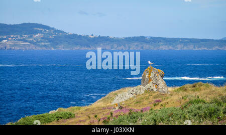 Malerischen Seenlandschaft in Seixo Branco, in der Nähe von Oleiros, A Coruña Provinz, Galicien Stockfoto