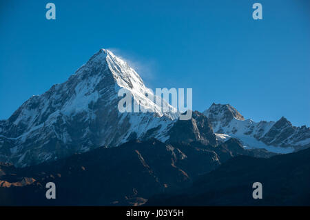 Close-up Ansichten von den Annapurnas von Kopra Ridge; am frühen Morgensonne leuchtet kleine Böen von Schnee in der Nähe des Gipfels. Stockfoto