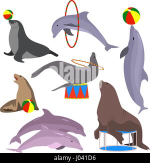Marine Zirkustiere festgelegt. Vektor-Illustration. Wohnung. Stock Vektor