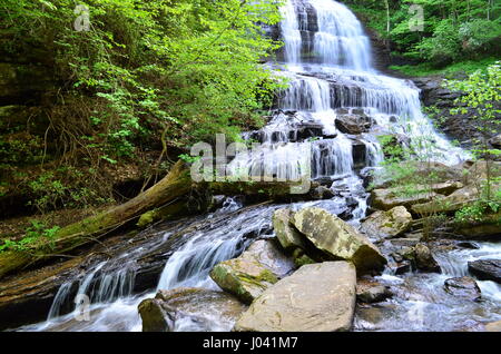 Eine Wanderung zu den Pearson Falls, eine 90-ft-Kaskade im westlichen North Carolina werden sicherlich ein herrlicher Anblick für eine lange Zeit erinnern. Stockfoto