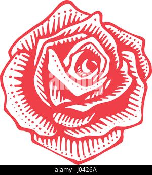 Vektor-Illustration von Hand gezeichnet oder eine Zeichnung einer Rosenblüte Stock Vektor