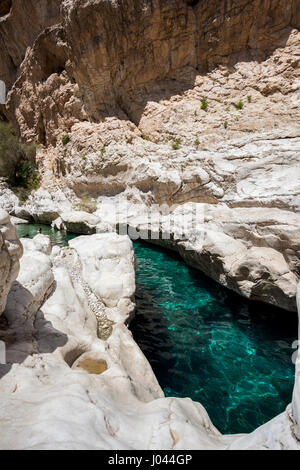 Besucher schwimmen im kristallklaren türkisfarbenen Wasser des Wadi Bani Khalid, Oman, und betonen die atemberaubende natürliche Schönheit und die ruhige Umgebung Stockfoto