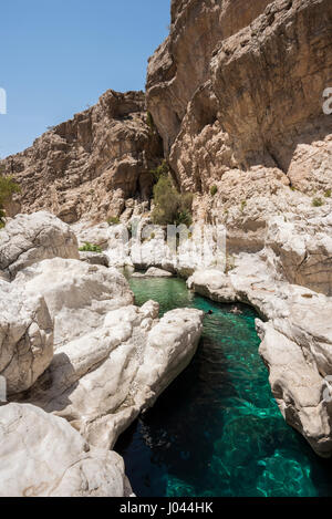 Die Menschen schwimmen gerne im klaren türkisfarbenen Wasser des Wadi Bani Khalid in Oman, dem meistbesuchten Wadi des Landes. Eine beliebte Touristenattraktion Stockfoto