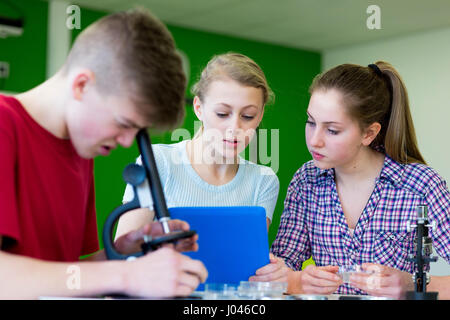 Studenten in einer Wissenschaft Lektion verwenden ein Mikroskop Zellen anzusehen. Sie verwenden ein digitale Tablet für die Forschung. Stockfoto