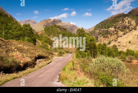 Eine eingleisige Bahn schlängelt sich vom Wald in der Talsohle des Glen Nevis, unter den Bergen der Ben Nevis Range in den westlichen Highlands von Scotlan Stockfoto