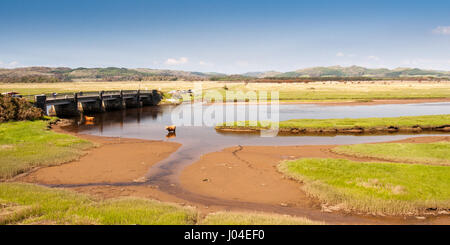 Langhaarige Hochlandrinder abkühlen in einer Flussmündung bei Crinan Salzwiesen in Argyll in Süd-West Highlands von Schottland. Stockfoto