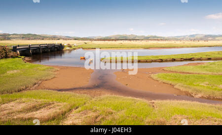 Langhaarige Hochlandrinder abkühlen in einer Flussmündung bei Crinan Salzwiesen in Argyll in Süd-West Highlands von Schottland. Stockfoto