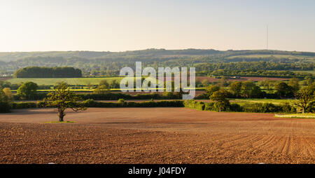 Sommersonne scheint auf ein Patchwork aus Weiden, Äckern und Wald in die hügelige Landschaft der Mendip Hills in Somerset, mit dem Mendip t Stockfoto
