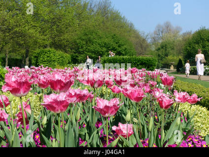Tulpen blühen im Frühjahr im Regents Park, London Stockfoto