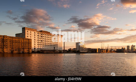 Abendlicht beleuchtet die vernachlässigte Fassade der verfallenen Millennium Mühlen, aufbauend auf den Royal Victoria Dock in Newham, Ostlondon. Stockfoto