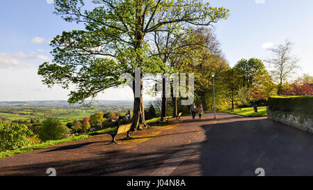 Der Hügel-Allee der Bäume im Park zu Fuß in Shaftesbury, Dorset. Stockfoto