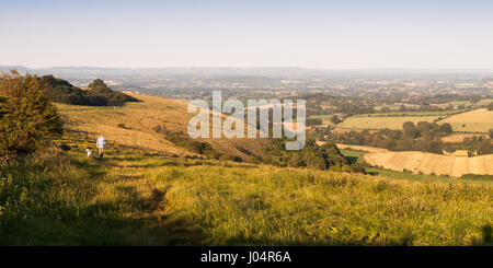 Shaftesbury, England - Juli 28, 2012: ein Mann einen Hund in den frühen Morgen Licht auf fontmell unten, ein Chalk Hill mit Blick auf den blackmore Vale in Dorset. Stockfoto