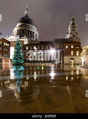 London, England, UK - 16. Dezember 2009: Ein Weihnachtsbaum in der nassen Stein Pflasterung der Paternoster Square, unter der Kuppel der St. Pauls Cath spiegelt sich Stockfoto