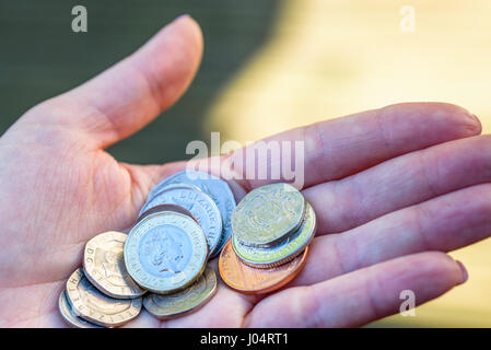 Weibliche Hand Holding neue britische ein Sterling Pfund-Münzen. Stockfoto