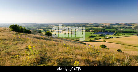 Molkerei Weide Felder in Englands Blackmore Vale, das "Tal der kleinen Molkereien" Sonderangebot-Thomas Hardy Romane wie Tess of the d ' Urbervilles. Stockfoto