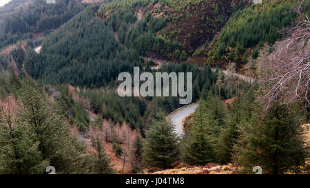 Eine schmale Gebirgspass Straße schlängelt sich durch Conniferous Plantage Wald, an den Hängen des Mam Ratagan Berg in den westlichen Highlands von Schottland. Stockfoto