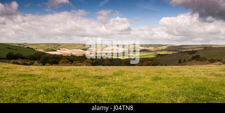 Sommer Sonne scheint auf einem Flickenteppich von landwirtschaftlichen Feldern, Feldfrüchten und Weide in der Nähe von Cerne Abbas in der rollenden Chalk downland Landschaft Englands dorse Stockfoto