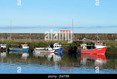 ARBROATH, Schottland - 27. März 2017: Sobald ein wichtiger Fischereihafen mit einer riesigen Flotte und einen Fischmarkt, nur ein paar kleine kommerzielle Boote bleiben Stockfoto