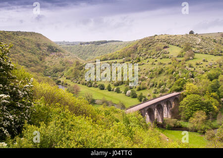 Die viktorianischen Midland Grabstein Eisenbahnviadukt, heute Teil von der Monsal Trail-Radweg in Monsal Dale im englischen Peak District National Park. Stockfoto