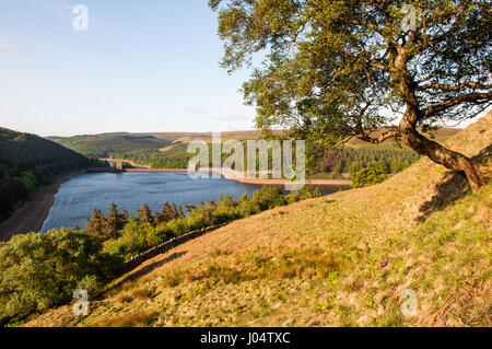 Erstes Licht auf Howden Reservoir in Derbyshire ist Upper Derwent Valley, Teil der Wasserversorgung für Sheffield und East Midlands bewaldet. Stockfoto
