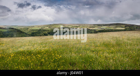 Landwirtschaftlich genutzten Feldern und Moorland oberhalb Heptonstall in der südlichen Pennines Hochland Region von England. Stockfoto