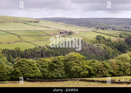 Landwirtschaftlich genutzten Feldern und Moorland oberhalb Heptonstall in der südlichen Pennines Hochland Region von England. Stockfoto