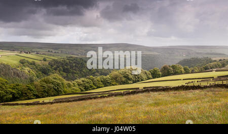 Landwirtschaftlich genutzten Feldern und Moorland oberhalb Heptonstall in der südlichen Pennines Hochland Region von England. Stockfoto