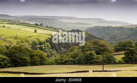 Landwirtschaftlich genutzten Feldern und Moorland oberhalb Heptonstall in der südlichen Pennines Hochland Region von England. Stockfoto