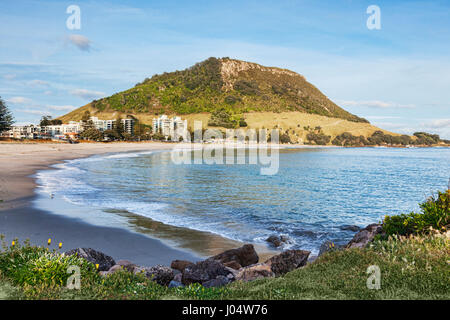 Mount Maunganui, Bay of Plenty, New Zealand. Fokus auf Vordergrund. Stockfoto