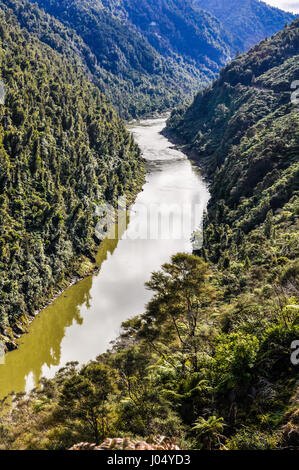 Blick auf den Fluss in der Whanganui National Park, Nordinsel von Neuseeland Stockfoto