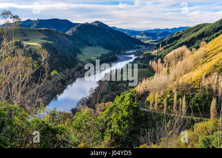 Blick auf den Fluss und die umliegenden Wälder in der Whanganui National Park, Nordinsel von Neuseeland Stockfoto