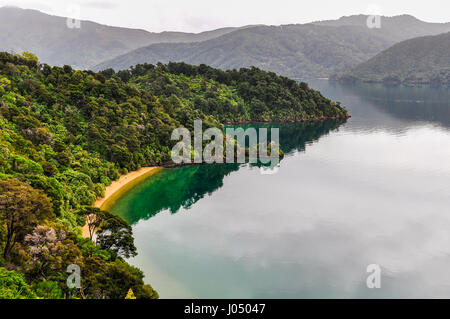 Blick auf die Buchten rund um die Geräusche in der Nähe von Königin Charlotte Road, Neuseeland Stockfoto