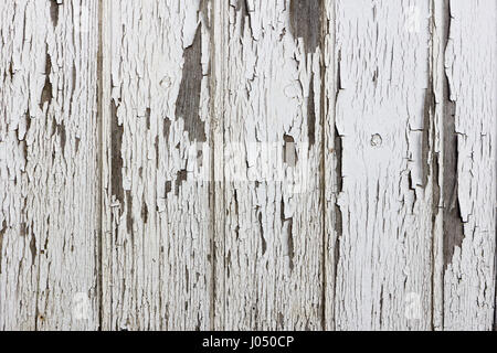 Alte Holzplanken mit abblätternder weißer Farbe Stockfoto