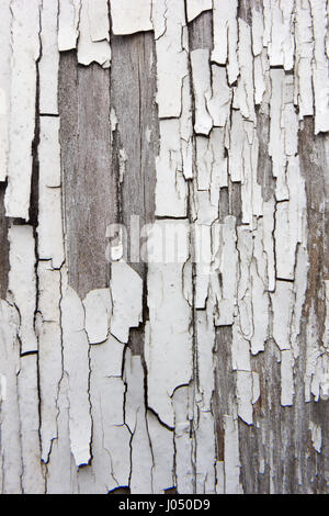 Alte Holzplanken, die sich von der weißen Farbe ablösen Stockfoto