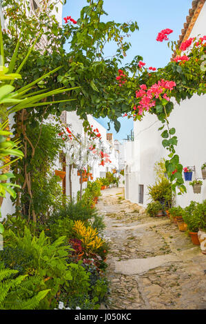 Vejer De La Frontera, weißen Dörfer Andalusiens, Pueblos Blancos, Provinz Cádiz, Spanien Stockfoto