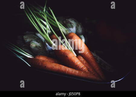 Topf mit Karotten und Artischocken auf schwarzem Hintergrund. Stockfoto